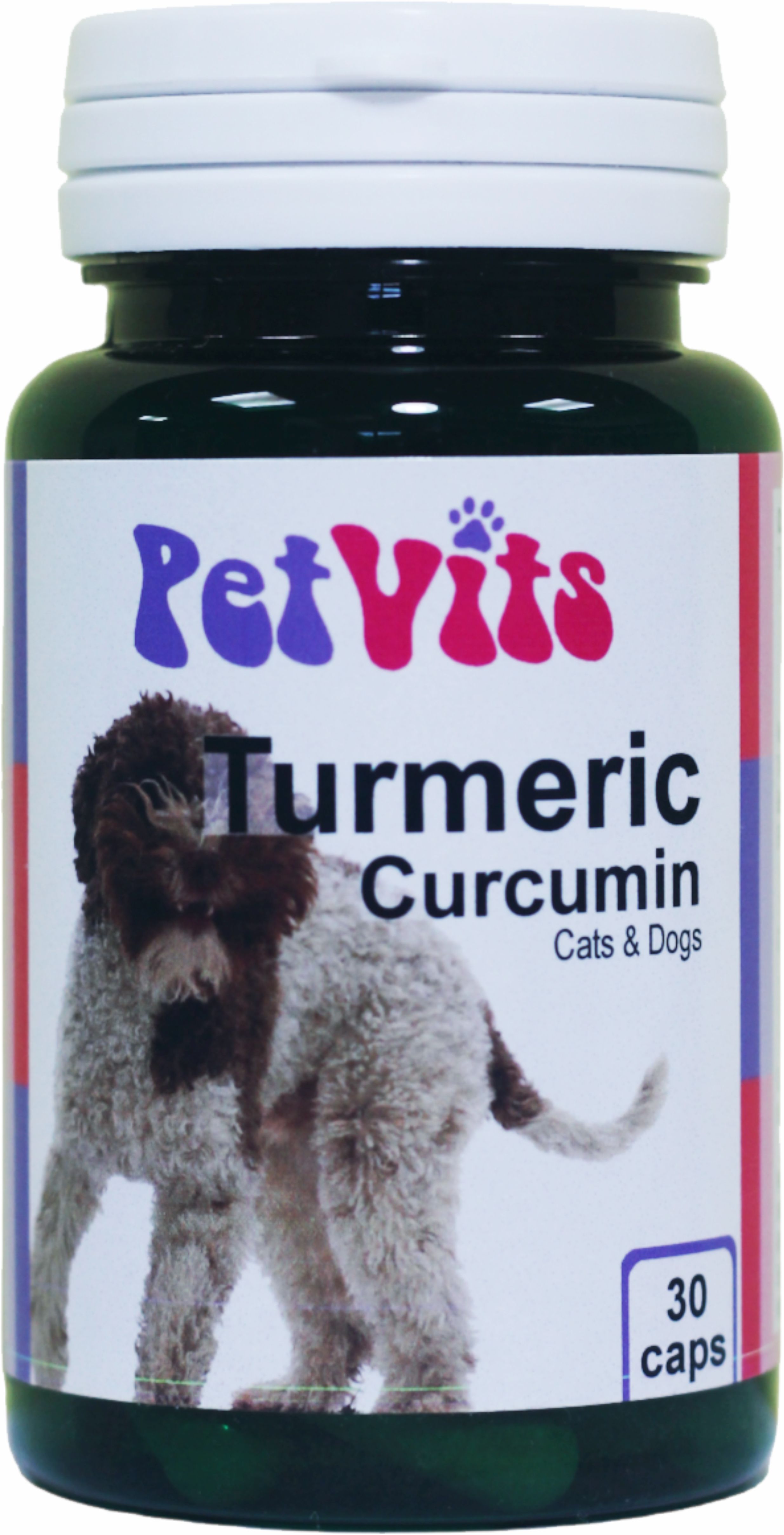 Health + Plus Ltd > PetVits > Turmeric Curcumin for Cats and Dogs - A ...